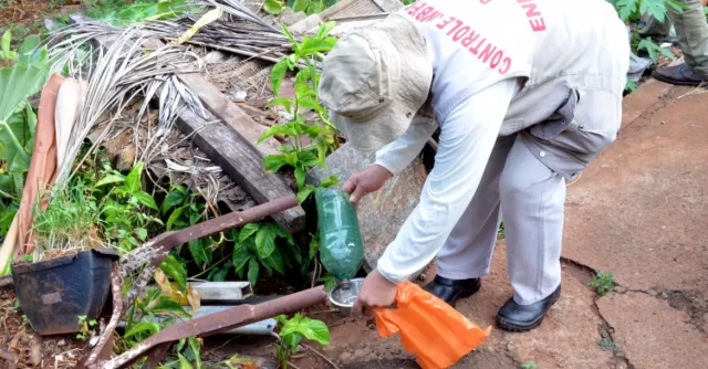 Combate ao mosquito transmissor da dengue tem que continuar ativo, alerta a Secretaria de Saúde